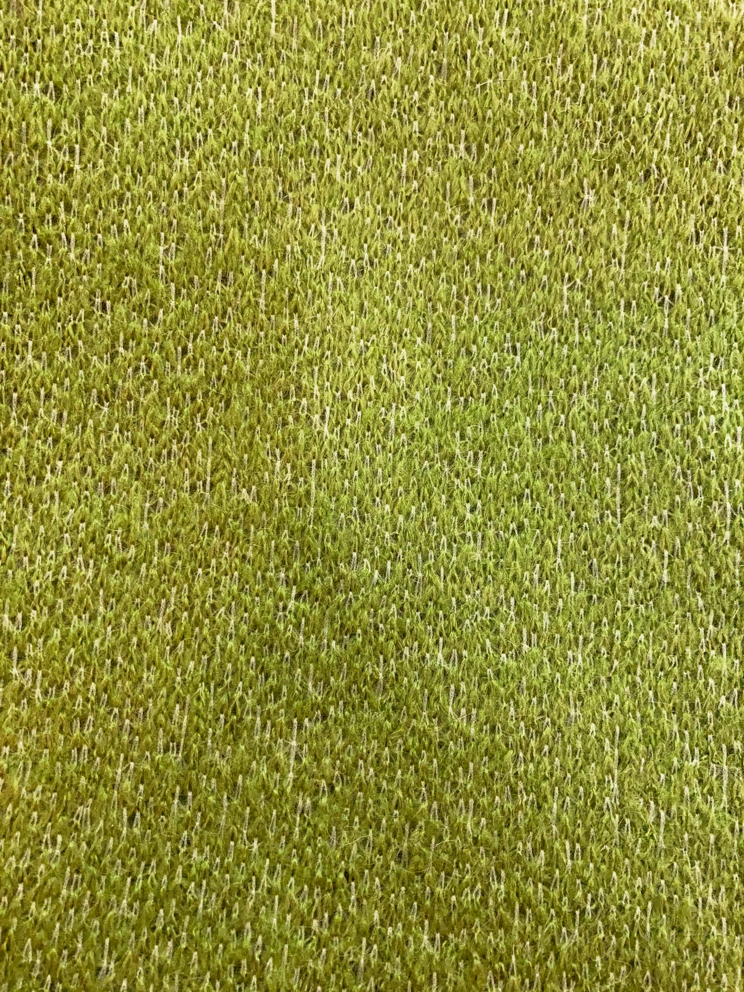 Mariella Burani textured lawn-y green mohair blend knee length skirt