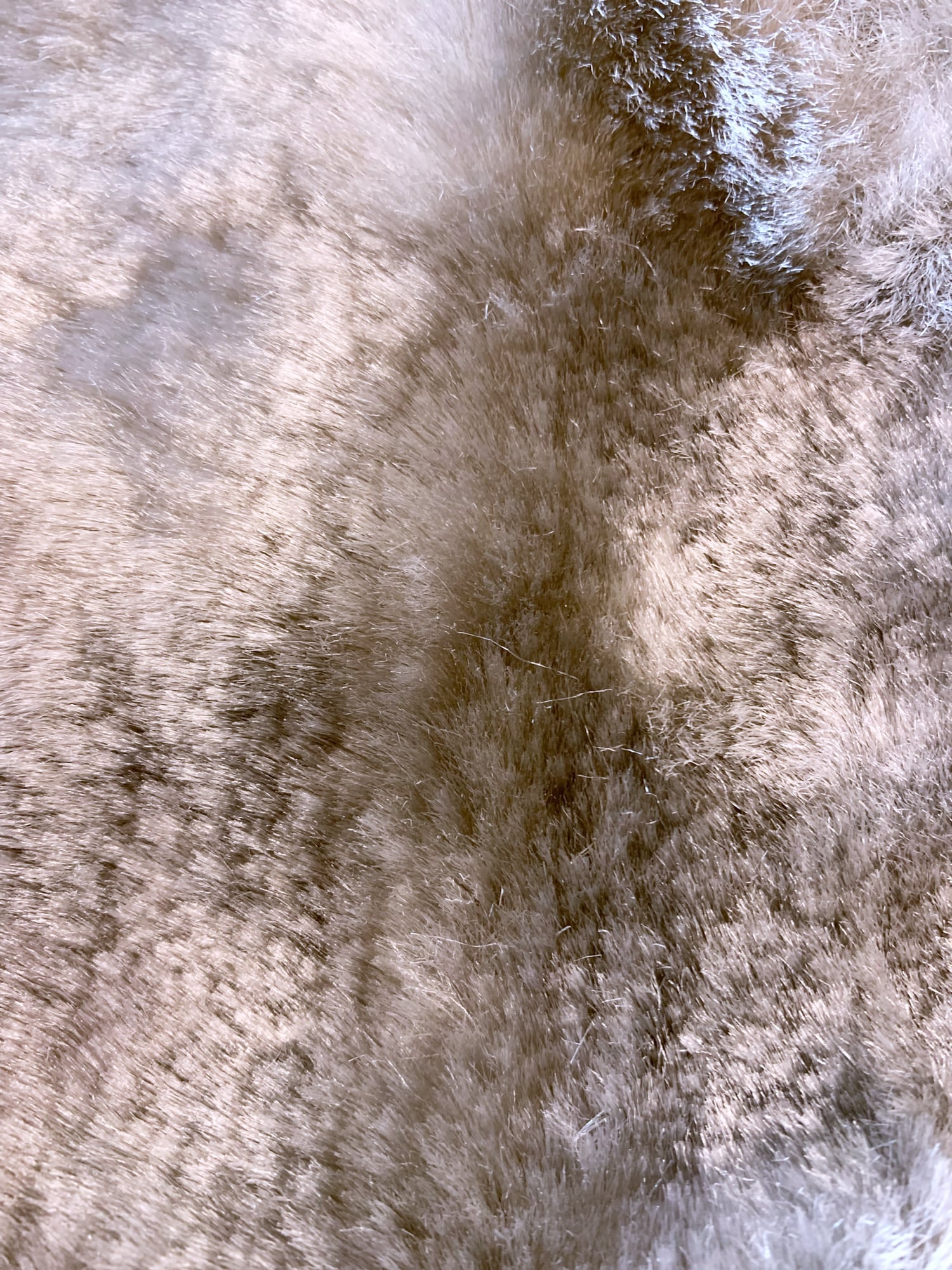 Junya Watanabe winter 1995 cropped silver faux fur jacket with knit fabric panels