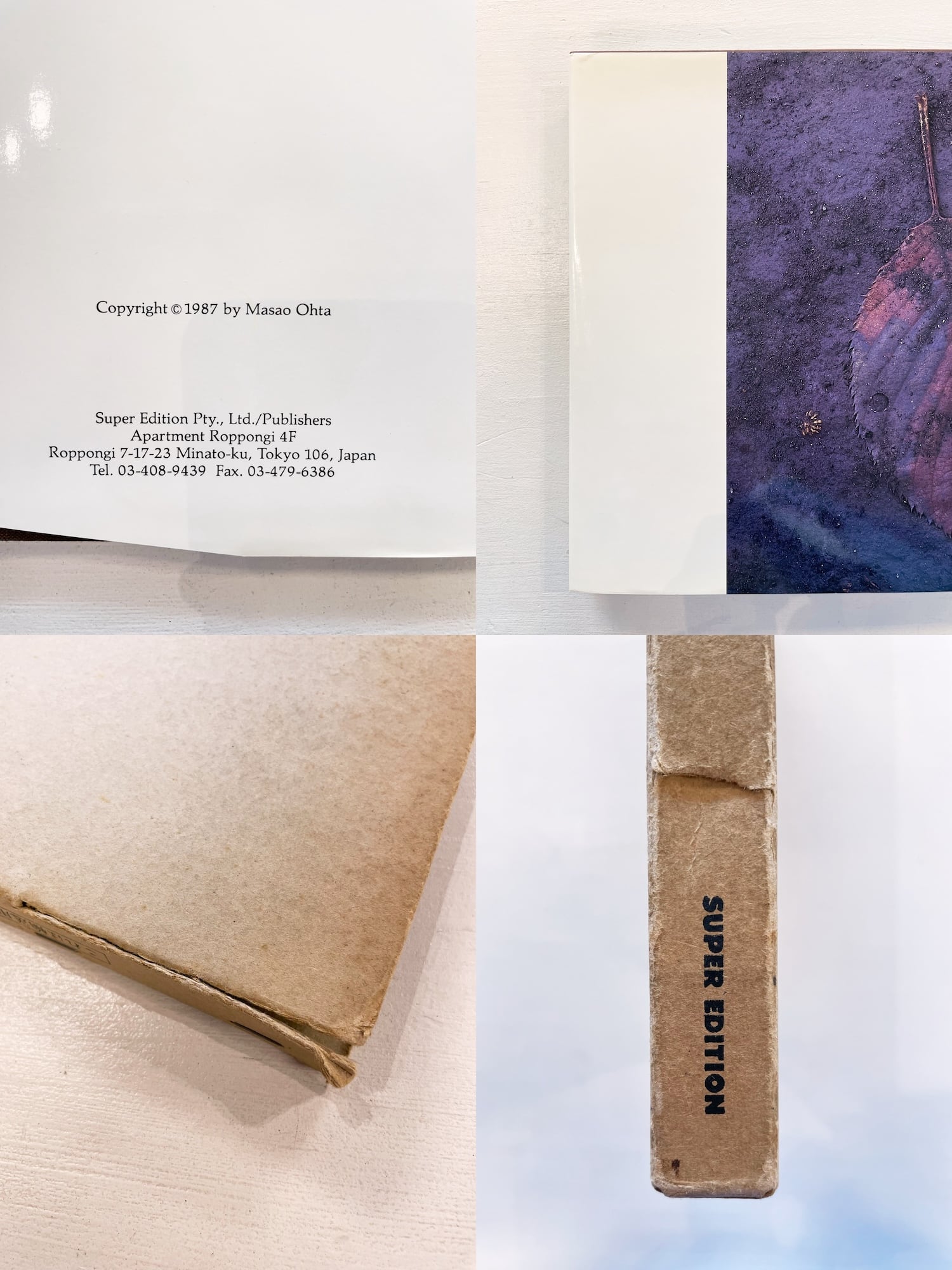 Masao Ohta / Accumulus: Earthwork of Fallen Leaves photo book