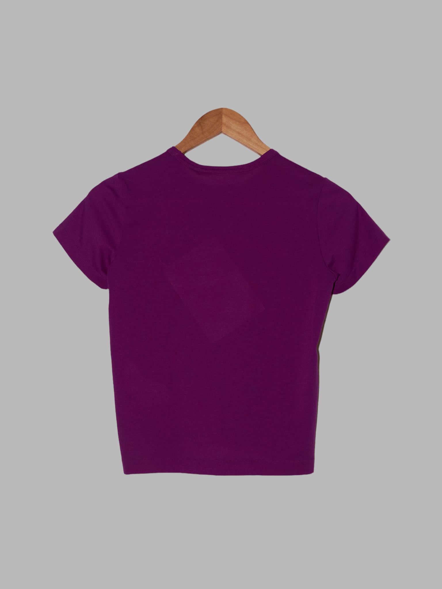 Junya Watanabe Comme des Garcons SS2000 purple waterproof t-shirt
