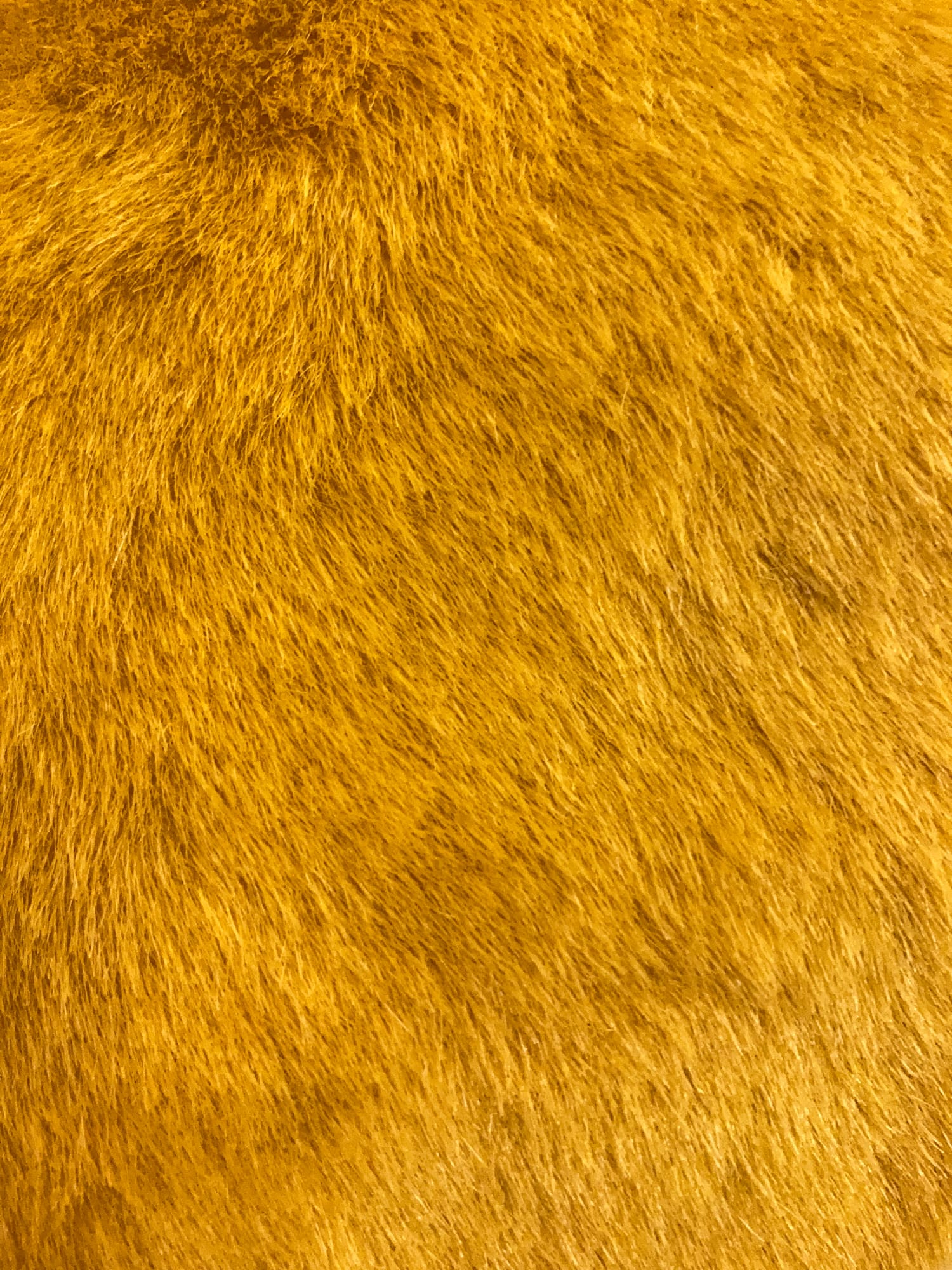 Agnes B Voyage yellow faux fur tiny handbag
