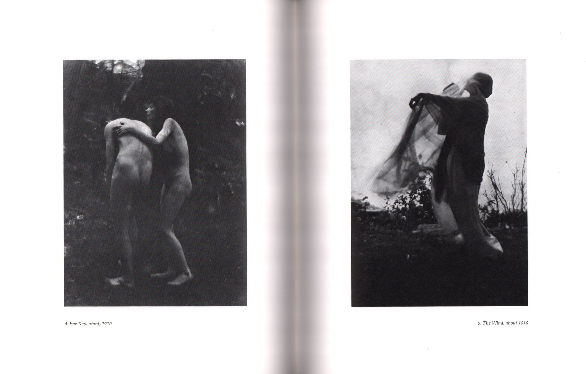 Imogen Cunningham: Photographs [1988]