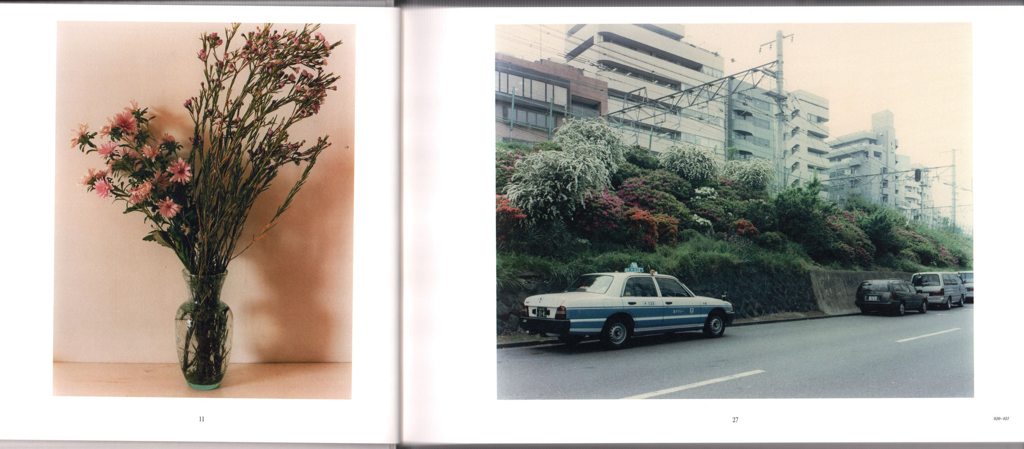 Photography and Fashion Since the 1990s [Nakako Hayashi 2020]